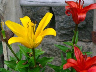 Casa per le vacanze St. Valentin auf der Haide Registrazione all'aperto 4