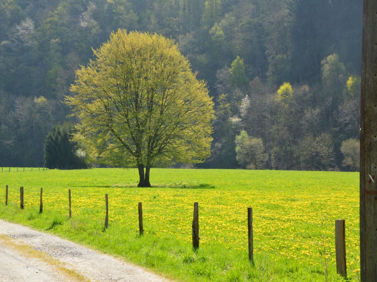 Chalet Rochefort Umgebung 24