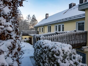 Holiday apartment Weidenhäuser Mühle Wohnung 1 - Southern Sauerland - image1