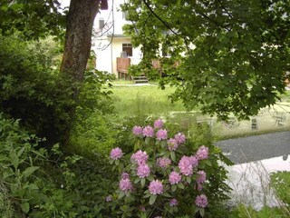 Apartamento de vacaciones Bad Berleburg Entorno 5
