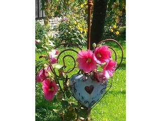 Holiday house Sundern Outdoor Recording 13