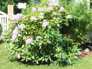 Appartamento Wyk auf Föhr Registrazione all'aperto 8