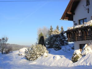 Ferienwohnung Vogtlandblick - Eichigt - image1