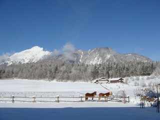 Appartamento per vacanze Bayerisch Gmain Registrazione all'aperto 16