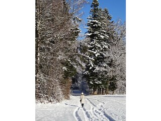 Appartamento per vacanze Bayerisch Gmain Registrazione all'aperto 17