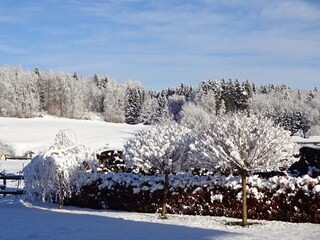 Appartamento per vacanze Bayerisch Gmain Registrazione all'aperto 15