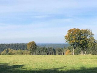 Apartment Willingen Environment 33