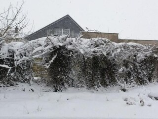 Apartment Willingen Environment 22