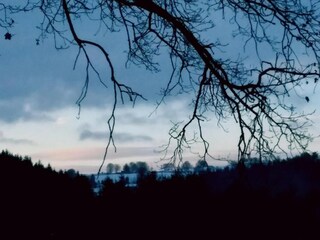 Apartamento Willingen Entorno 38