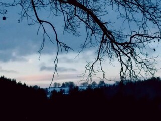 Apartment Willingen Umgebung 38