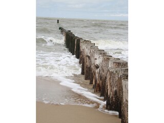 Appartamento Zoutelande Ambiente 15