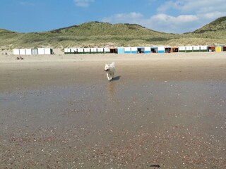 Appartamento Zoutelande Ambiente 14