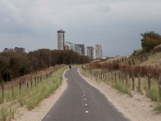 Appartement Zoutelande Omgeving 20