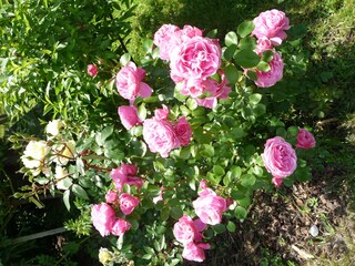 Appartamento per vacanze Lana Registrazione all'aperto 18