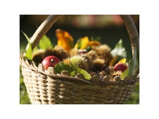 Appartamento per vacanze Lana Registrazione all'aperto 20