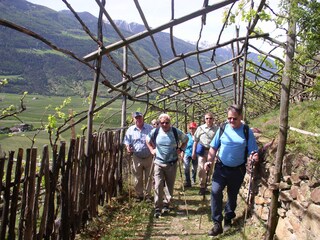 Appartamento per vacanze Lana Ambiente 32