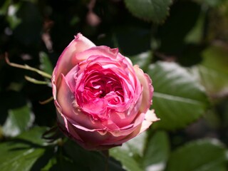 Vakantieappartement Lana Buitenaudio-opname 18
