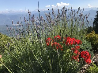 Appartamento per vacanze Lana Ambiente 35