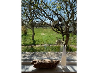 Blick in den Garten