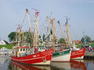 Kutter im Hafen