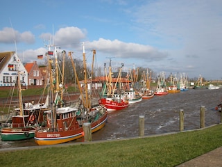 der malerische Kutterhafen