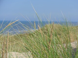 Appartamento per vacanze Egmond aan Zee Ambiente 17