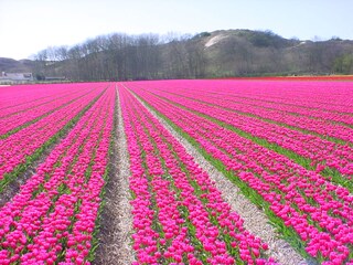 Appartamento per vacanze Egmond aan Zee Ambiente 19