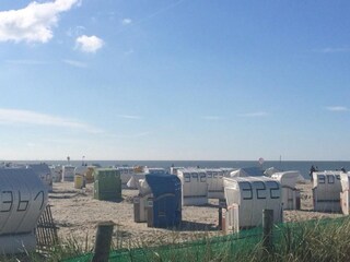 Ferienwohnung Norddeich Umgebung 16