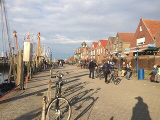 Ferienwohnung Norddeich Umgebung 17