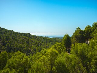 Villa Callosa d'en Sarrià Ambiente 28