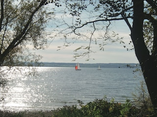 Am Uferweg Richtung Hagnau