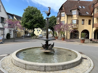 Hennenbrunnen im Zentrum