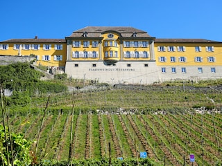 Meersburg Staatsweingut