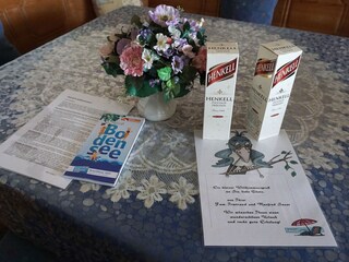 Appartamento per vacanze Immenstaad Registrazione all'aperto 13