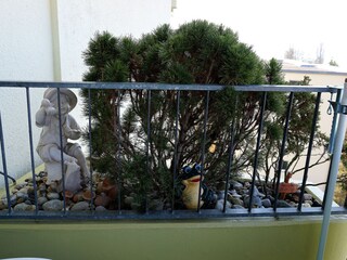 Appartamento per vacanze Immenstaad Registrazione all'aperto 14