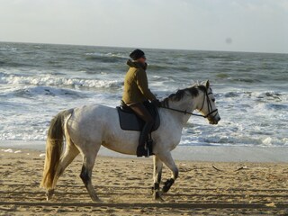 am Strand im Winter