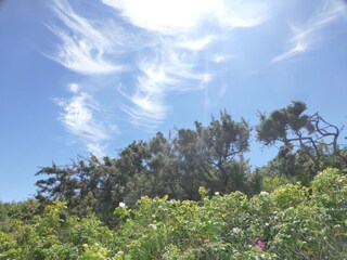 Casa per le vacanze Keitum Ambiente 27