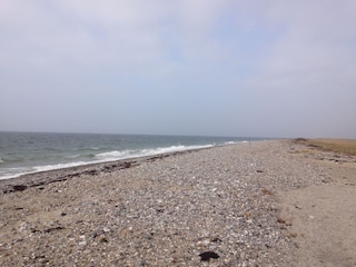 Hundestrand im Winter