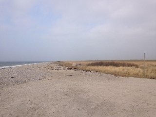 Naturstrand im Winter