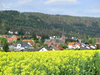 Frühlingserwachen