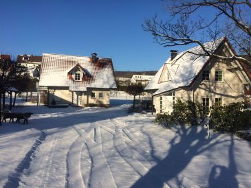 Ferienhaus Landhaus 11 A