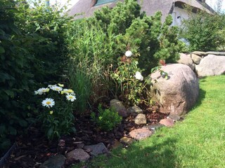 Casa de vacaciones Zinnowitz Grabación al aire libre 8