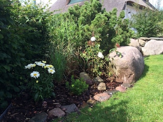 Maison de vacances Zinnowitz Enregistrement extérieur 8