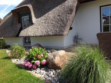 Ferienhaus Binsenkate