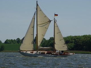 Segelboot auf der Schlei