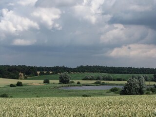 Landschaft