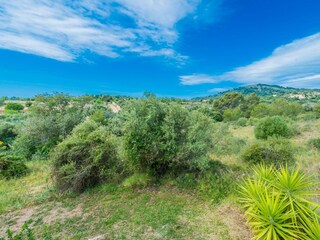 Villa Artà Registrazione all'aperto 17