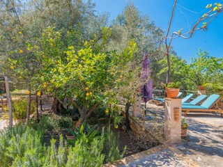 Chalet Fornalutx Registrazione all'aperto 17