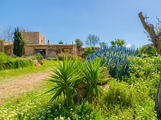 Villa Ses Covetes Registrazione all'aperto 23