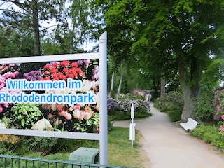 Rhododendronpark Graal-Müritz